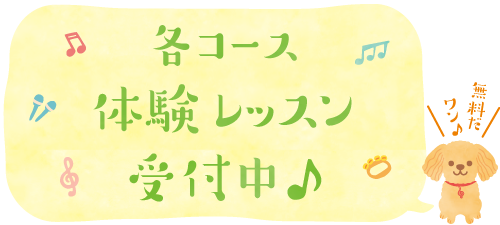 寺山音楽教室 音楽は豊かな心を育てます。体験レッスン受付中